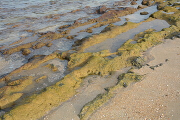 Scenic view of rocky Mediterranean coast. Peaceful bay  in northern Israel.
