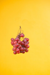 delicious bunch of grapes from the vines isolated on yellow background