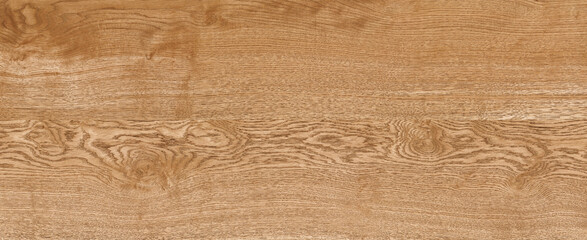 Fototapeta premium Oak wood texture background