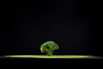 Florete de brócoli fresco en polvo de té verde. Paisaje hecho con comida, árboles de brócoli...