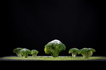 Floretes de brócoli fresco en polvo de té verde. Paisaje hecho con comida, árboles de brócoli...
