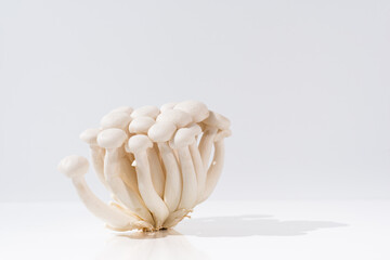 Setas frescas de haya blanca, seta Buna Shimeji. Grupo de hongos comestibles sobre fondo blanco