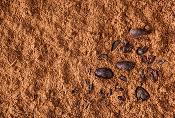 Cocoa powder background with cacao beans