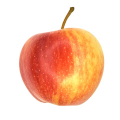 Apple on a white background. Variety Gala.  - 480392463