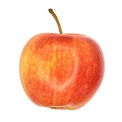 Apple on a white background. Variety Gala.  - 480392464