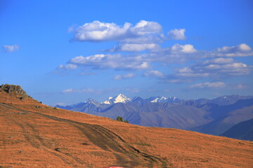 snow-white peaks of Altai