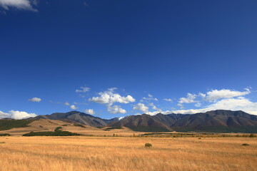 Fototapeta na wymiar landscape in the Altai mountains