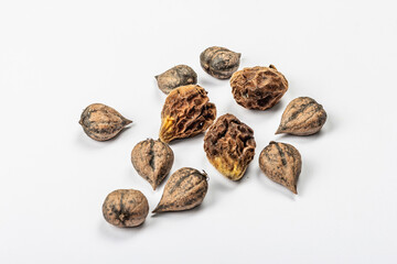 Ripe Juglans cordiformis Maxim or heart-shaped walnut isolated on white background