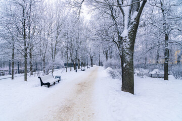 Russia. Kronstadt, January 12, 2022. Picturesque winter view in the park along the Kronstadt bypass...