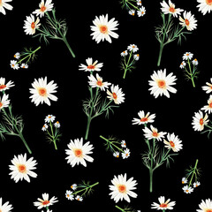 Seamless pattern of chamomile on a dark background hand-painted in watercolor.