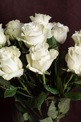 Freshly cut white roses on dark background. Beautiful bouquet for Woman's Day. Gift for wedding