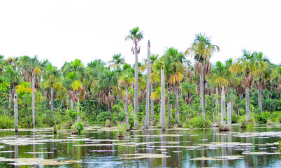 Lagoa das Araras lake, Nobres, Mato Grosso, Brazil