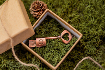 A key-shaped USB with a heart in a paper box with moss background