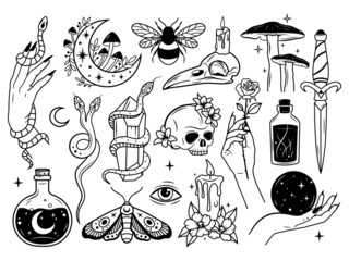 Set of witchcraft items. Collection of witchy magic equipment dagger, celestial crystal, skull,  potions, bugs, candles, and crystal balls. Vector illustration of mythical elements.