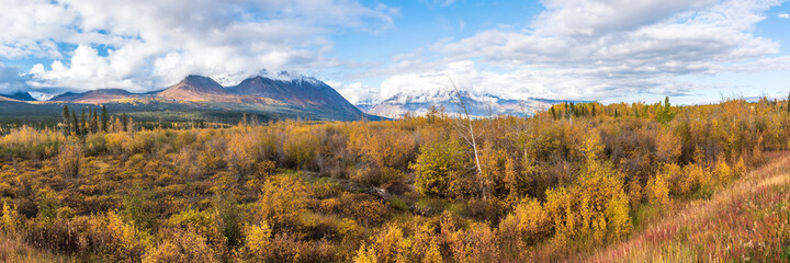 Panoramic landscape in Yukon Territory, northern Canada during September with spectacular fall,...