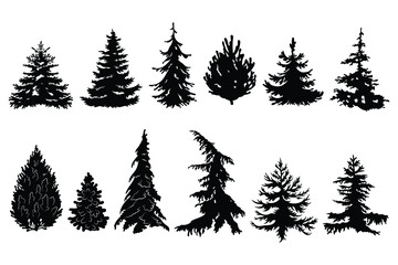 Naklejka premium Set of various silhouette christmas tree Collection of forest pine and fir tree. Logotype. Vector illustration of nature on a white background.