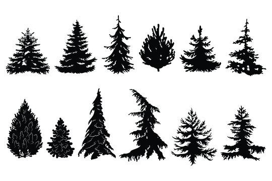 Set of various silhouette christmas tree Collection of forest pine and fir tree. Logotype. Vector illustration of nature on a white background.
