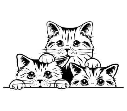 Illustration of peeking cats. Portrait or 3 striped cats looking out of the corner. Cute spy kittens. Funny animals. Playing pets. Tattoo.