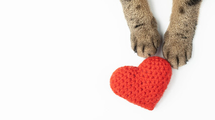 Cat paws and a knitted heart on a white background. Top view, a place to copy. The concept of Valentine's Day.