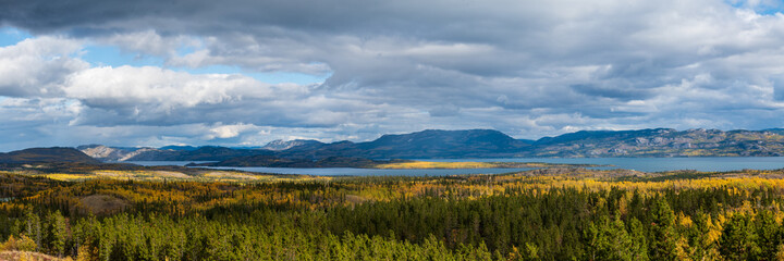 Fototapeta na wymiar Panoramic landscape in Yukon Territory, northern Canada during September with spectacular fall, autumn colors on perfect blue sky day. 