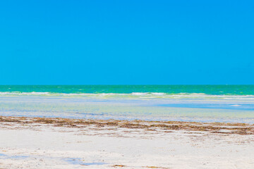 Fototapeta na wymiar Natural Holbox island beach sandbank panorama turquoise water waves Mexico.