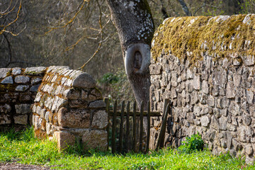 BARRIÈRE EN BOIS ET MURET DE PIERRES