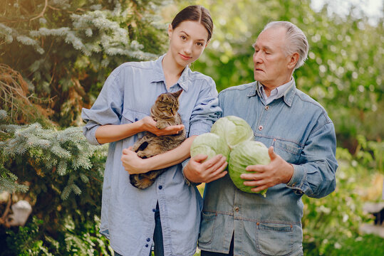 Old senior standing in a summer garden with cabbage