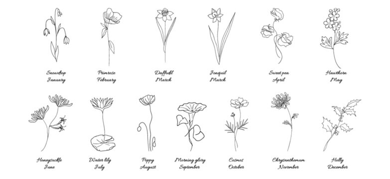birth flower lineart black and white set 12 part 2