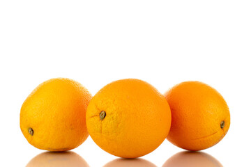 Three juicy oranges, macro, isolated on white.