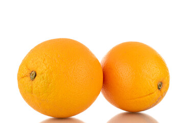 Two juicy oranges, macro, isolated on white.
