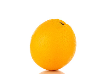 One juicy orange, macro, isolated on white.