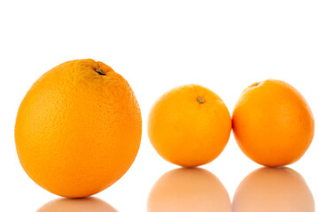 Three juicy oranges, macro, isolated on white.