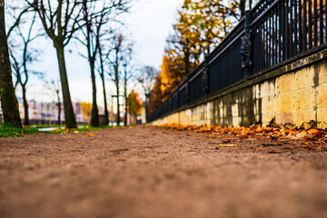 Obraz premium Autumn day in the city. Fallen leaves. Old decorative fence. Empty road. Close up view from the ground level.