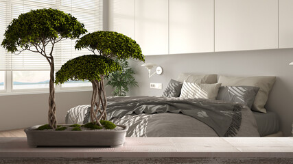 Vintage wooden table shelf with pebble and potted bloom bonsai, green flowers, over modern bedroom, panoramic window, bed with pillows interior design, clean architecture concept idea