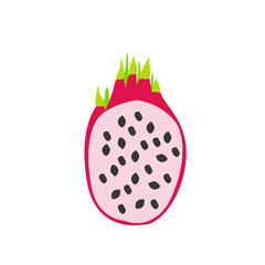 Pitahaya fruit illustration isolated on white background. Drawing for designing a sketchbook, notepad, for stickers, textile printing for various clothes, for household goods.