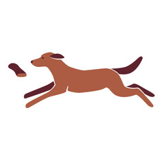 dog training with dummies