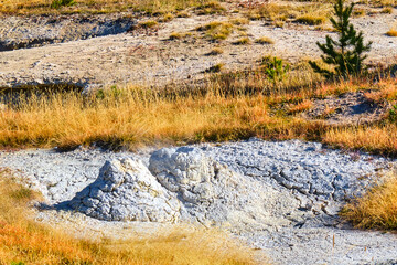 Fumeroles in Yellowstone National Park