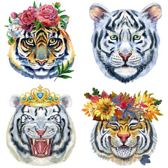 Set of tiger portraits. Wild animal watercolor illustration on white background