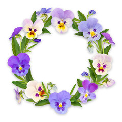 Spring wreath of pansies on a white background with flowers, leaves and buds.Flower frame.