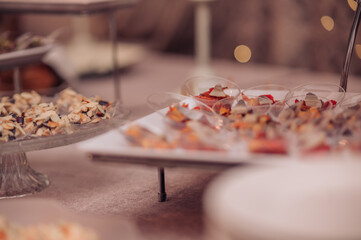 Catering for party. Close up of appetizers. Party snaks