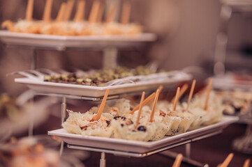 Catering for party. Close up of appetizers. Party snaks