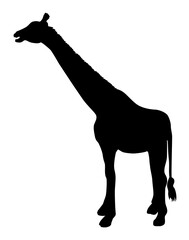 silhouette of a giraffe vector