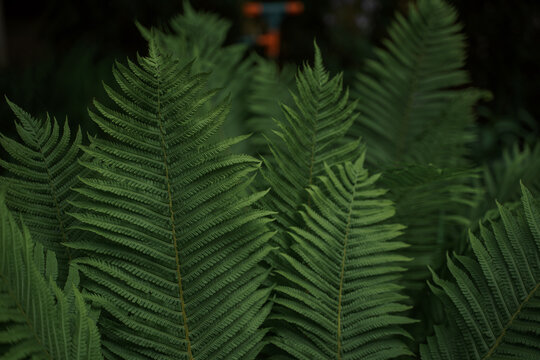 Tropical leaves background, ungle leaf garden