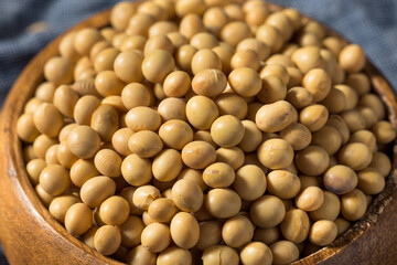 Dry Organic Soy Beans