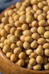 Dry Organic Soy Beans