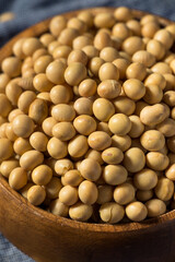 Dry Organic Soy Beans