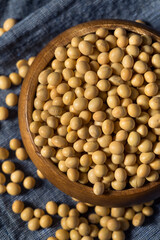 Dry Organic Soy Beans
