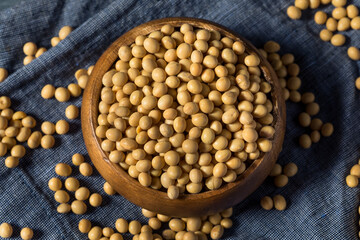 Dry Organic Soy Beans