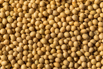 Dry Organic Soy Beans