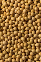 Dry Organic Soy Beans